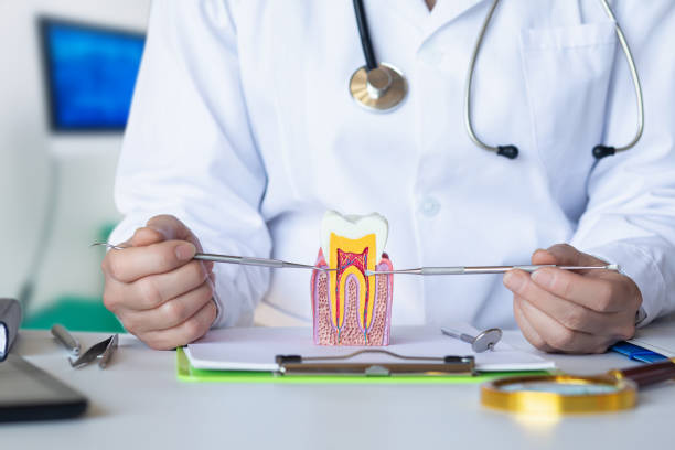 Best Emergency Root Canal Treatment in Lovington, NM